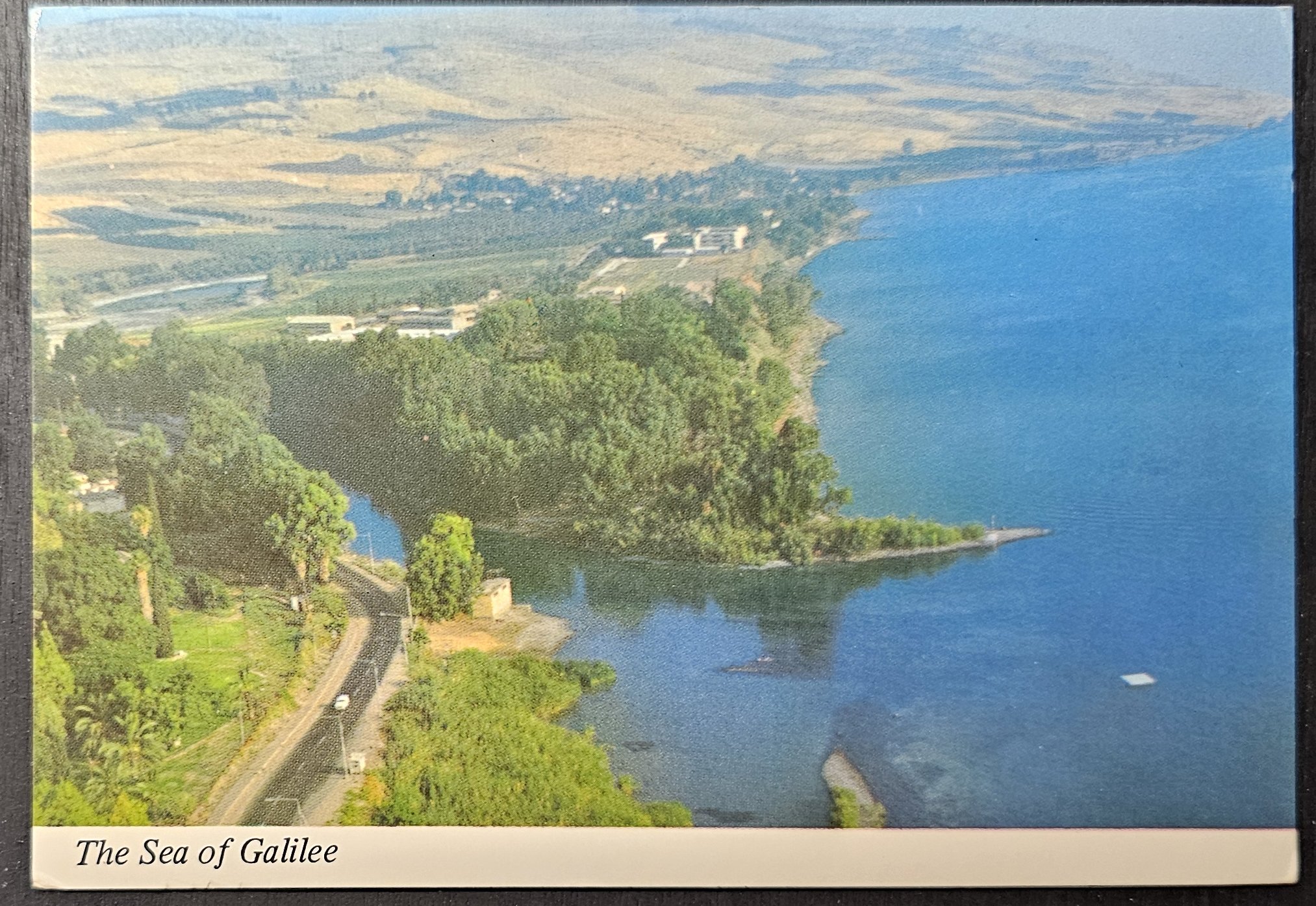 (image for) postcard Israel #0020